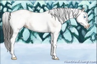 Horse Color:White Spotted Sable Champagne Splash