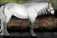 Horse Color:Silver Bay Chinchilla Roan 