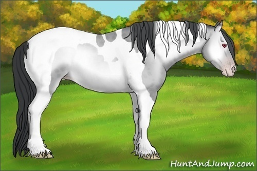 Horse Color:Sable Champagne Chinchilla Roan Onyx Tobiano 