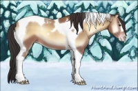 Horse Color:Sable Champagne Onyx Tobiano