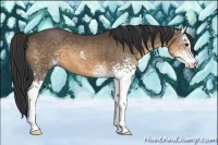 Horse Color:White Spotted Buckskin