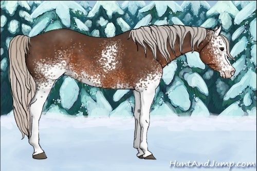 Horse Color:White Spotted Silver Brown 