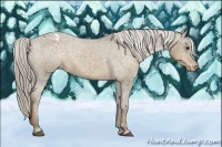 Horse Color:Chocolate Palomino Varnish 