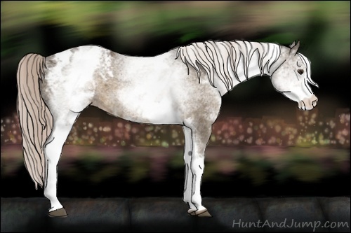 Horse Color:White Spotted Chocolate Palomino Varnish