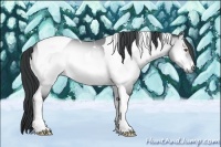 Horse Color:Brown Chinchilla Onyx Tobiano 