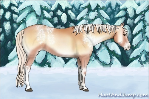 Horse Color:White Spotted Silver Bay Pearl Onyx