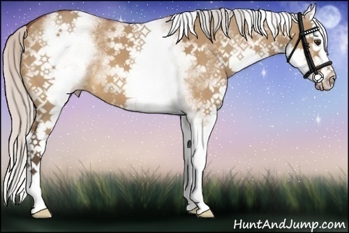 Horse Color:White Spotted Silver Bay Dun Splash 