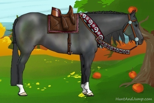 Horse Color:Black 