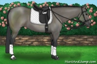 Horse Color:Grullo 