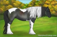 Horse Color:Black Sabino Tobiano 