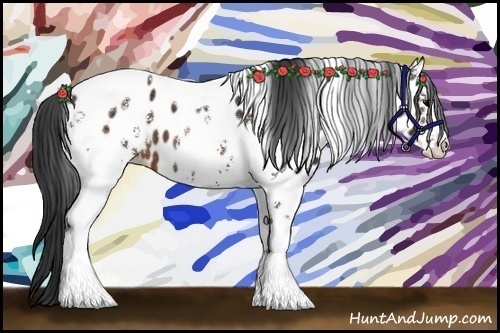 Horse Color:White Spotted Brown Tobiano Appaloosa