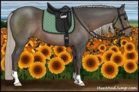 Horse Color:Silver Black 