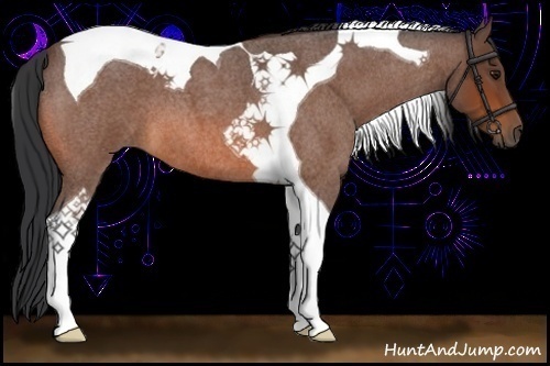 Horse Color:Bay Roan Tobiano 