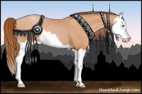 Horse Color:Bay Pearl Splash
