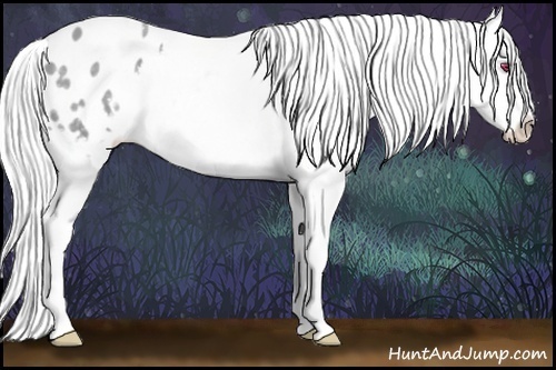 Horse Color:Silver Classic Champagne Chinchilla Appaloosa 