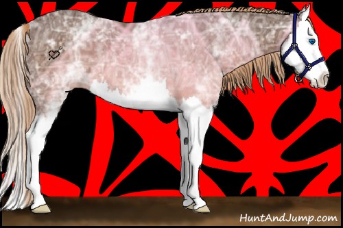 Horse Color:White Spotted Liver Chestnut Ice Splash 