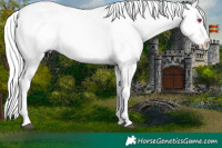 Horse Color:Liver Chestnut Chinchilla Splash Tobiano 