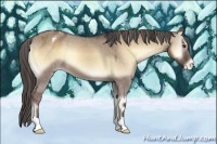 Horse Color:Liver Red Dun Onyx Varnish