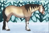 Horse Color:Bay Onyx Brindle