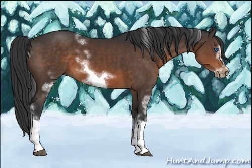 Horse Color:White Spotted Brown Frame 