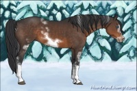 Horse Color:White Spotted Brown Frame 