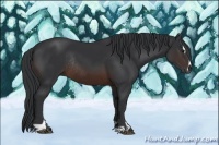 Horse Color:Brown Sabino Rabicano