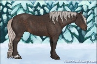 Horse Color:Silver Brown Sabino 