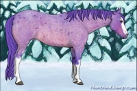 Horse Color:Watercolor White Spotted Buckskin Roan 