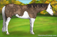 Horse Color:Brown Ice Dun Splash 