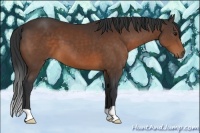 Horse Color:Brown 