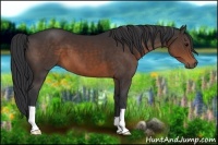 Horse Color:Brown 