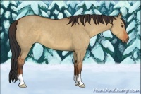 Horse Color:Brown Dun Brindle