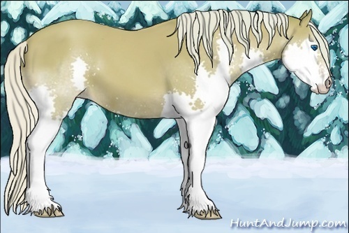 Horse Color:Watercolor Silver Classic Cream Champagne Splash 