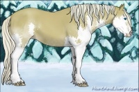 Horse Color:Watercolor Silver Classic Cream Champagne Splash