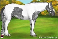 Horse Color:Black Ice Tobiano 