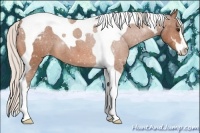 Horse Color:Silver Bay Sabino Tobiano Varnish 