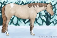 Horse Color:Grullo Pearl Varnish