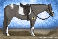 Horse Color:Grullo Varnish 