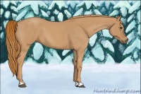 Horse Color:Red Roan 