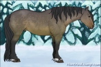Horse Color:Brown Dun