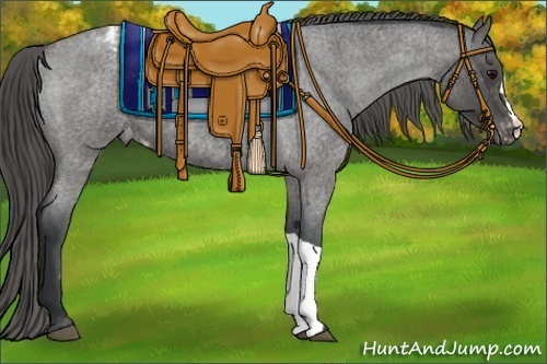 Horse Color:Blue Roan Varnish
