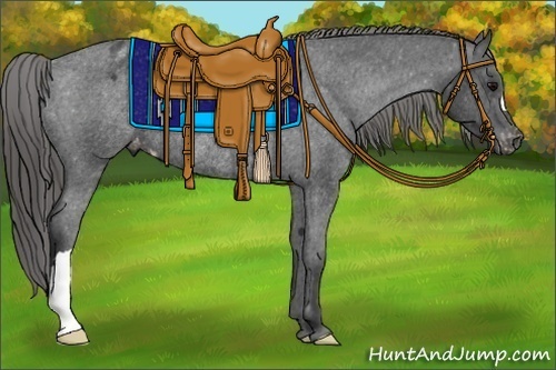 Horse Color:Black Appaloosa Rabicano