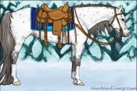 Horse Color:Grullo Appaloosa 