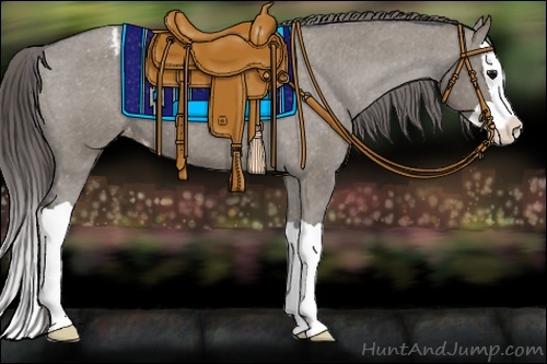 Horse Color:Grullo Splash Varnish