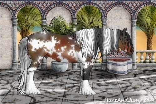 Horse Color:White Spotted Brown 