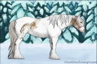 Horse Color:White Spotted Silver Buckskin Tobiano