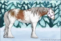 Horse Color:White Spotted Silver Brown Splash