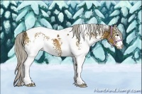 Horse Color:White Spotted Silver Buckskin Tobiano