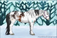 Horse Color:White Spotted Brown 