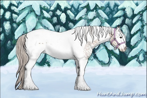 Horse Color:White Spotted Silver Brown Tobiano
